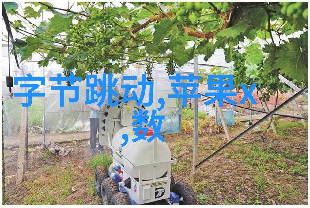 宠你一辈子 香朵儿我要宠你一辈子这香朵儿的故事