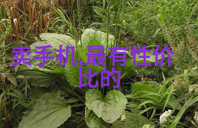 汽车零部件分类概述轮胎发动机底盘与车身系统
