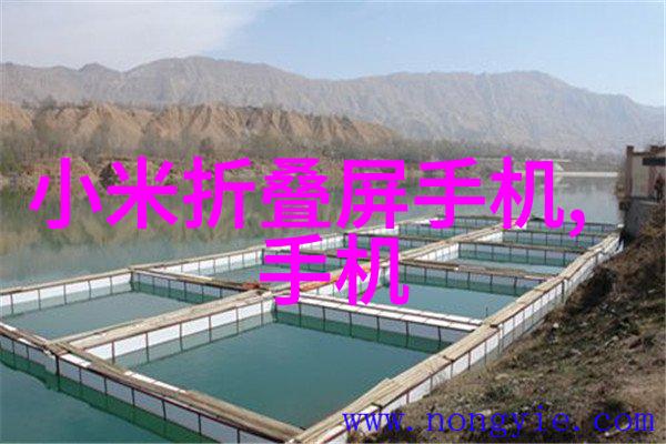 街头的故事恶犬与乞丐的命运交错
