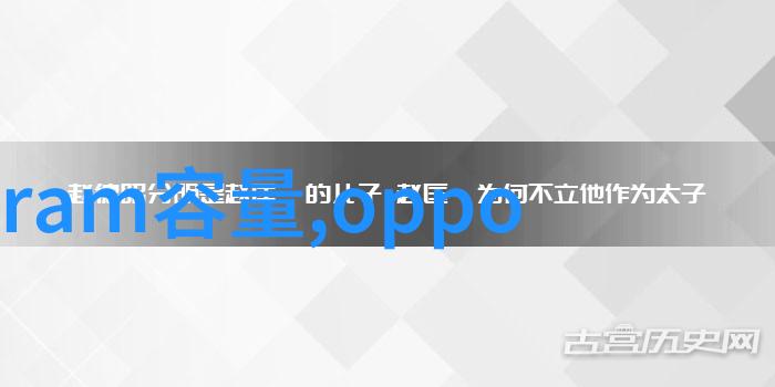 vivo新品发布革新科技重塑未来视界