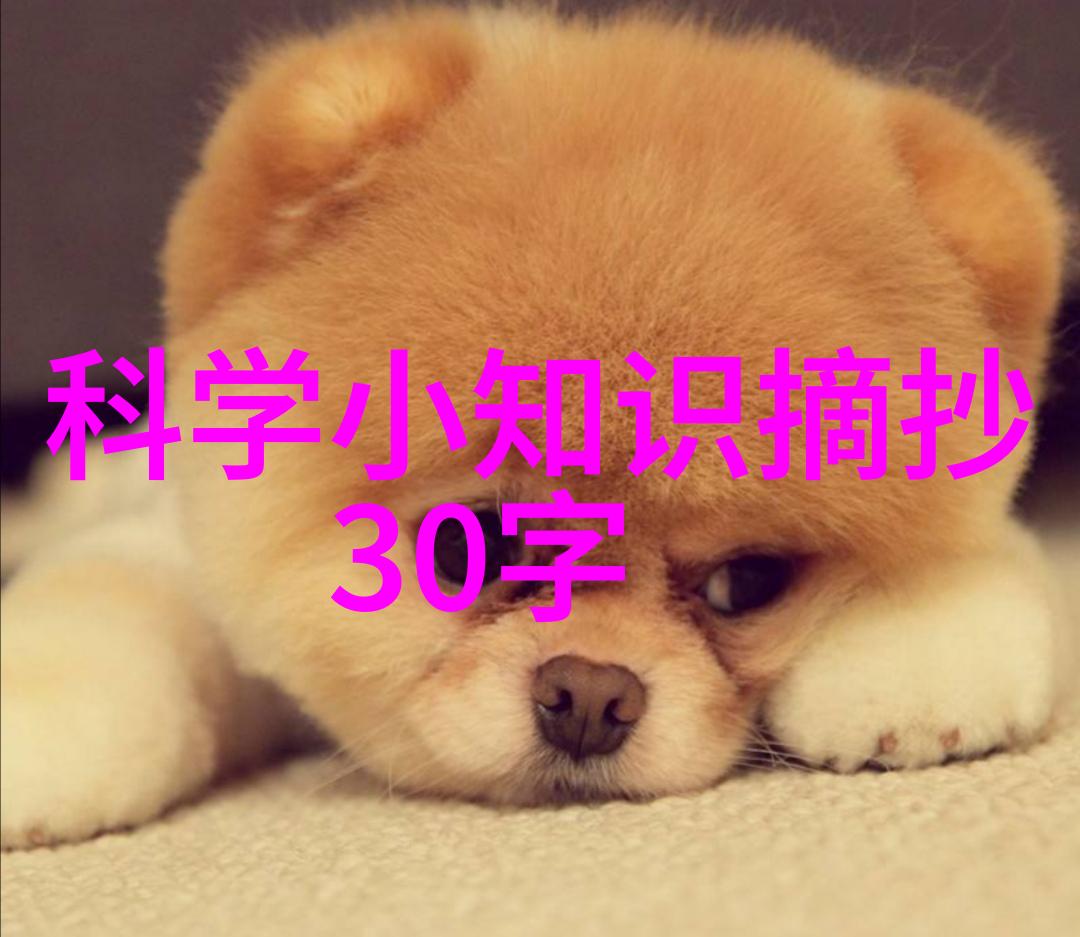金属界的精英不锈钢管的规格与选择