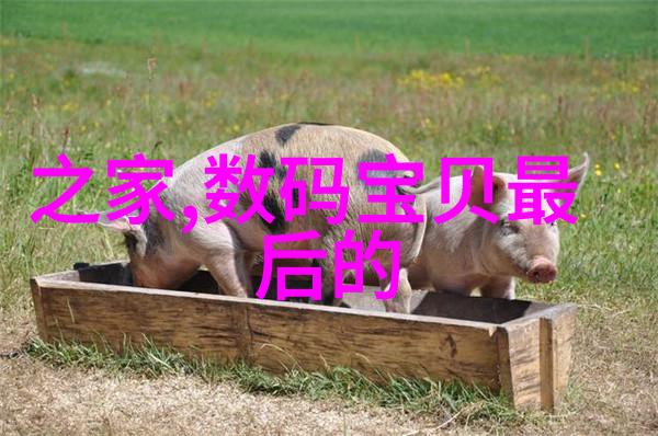 刺激的胸膜体验一边享受美食一边探索胸膜健康的自由之旅