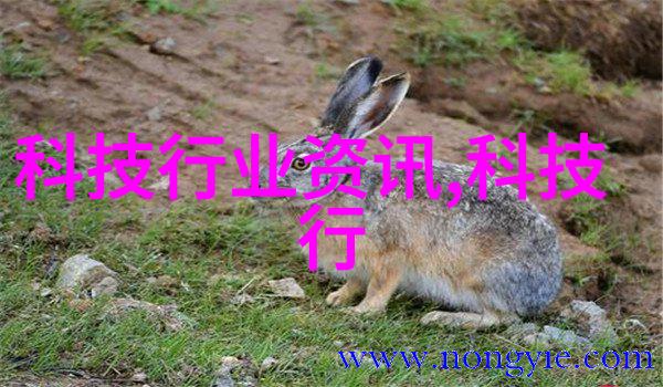 生活废水处理设备环保技术的应用与发展