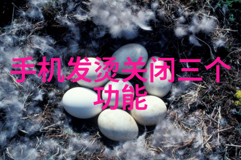 在制造过程中为什么需要使用特殊设计的不锈钢波纹填料材质
