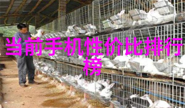 水净化设备确保每一口清洁的水