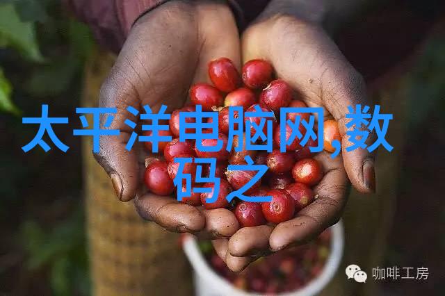 东方财富中的万隆光电股吧追逐科技潮流的投资者们