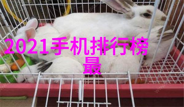 家中水质评估指南如何通过多种方法判断清洁与安全