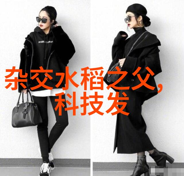 岩板的奥秘