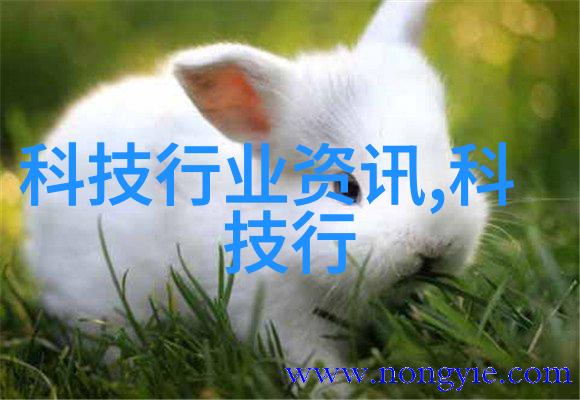 清洁技术的进步水洗机设备如何提升生产效率和产品质量