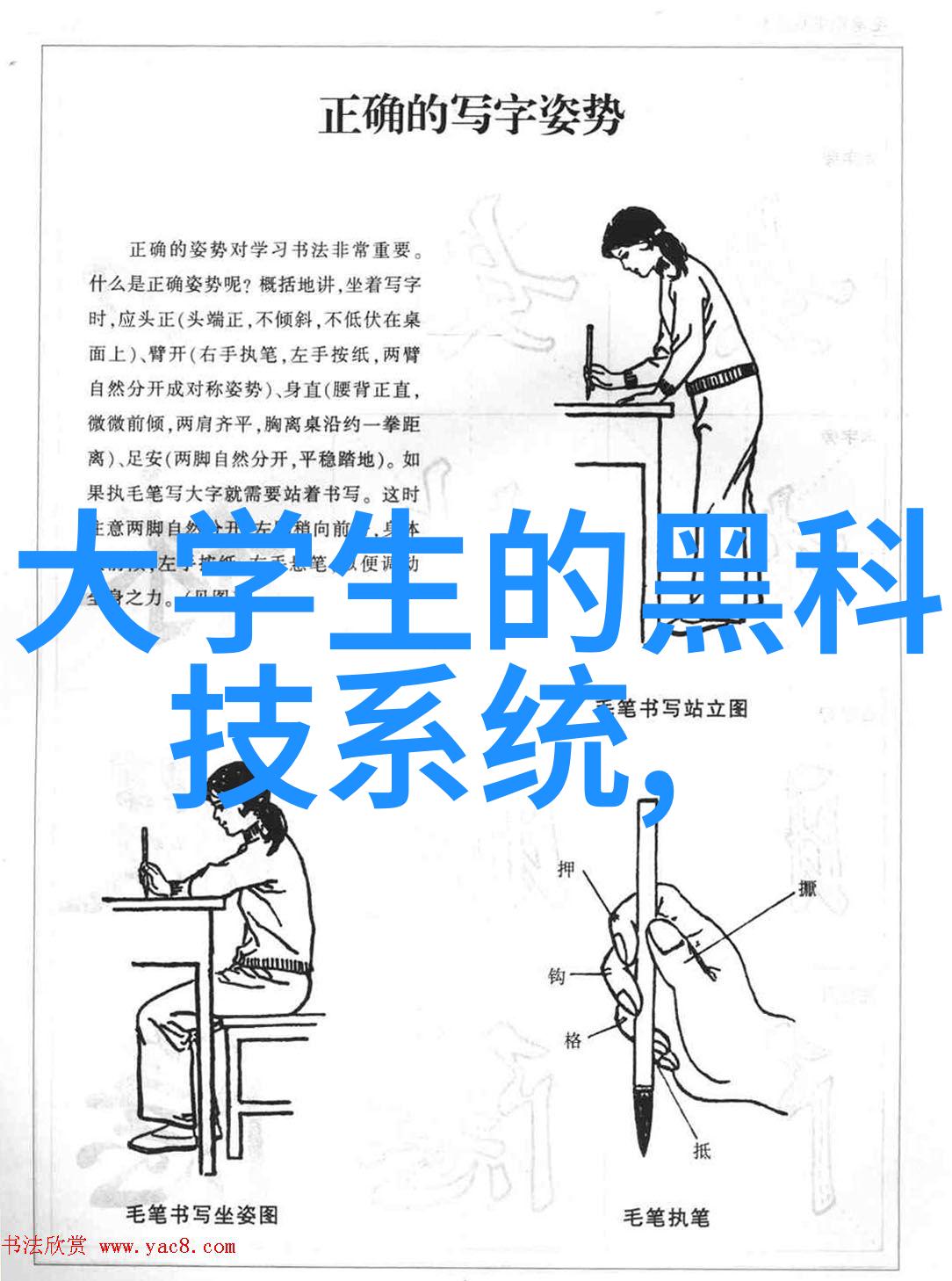 黄瓜栽培技术-精准施肥与节水管理之道