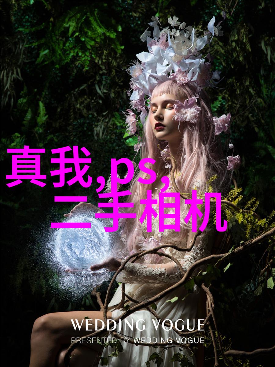 清澈的谎言探索那些自称能检测水质的神秘笔记