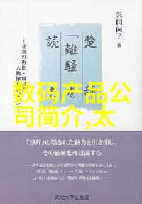 自制不锈钢工艺品图片手工艺的金属诗篇