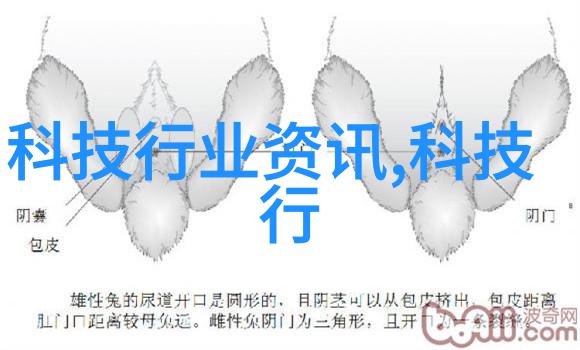 河南财经政法大学教授参与债券通开通六周年纪念活动香港与内地财经界人士探讨金融互联互通新篇章在社会的推