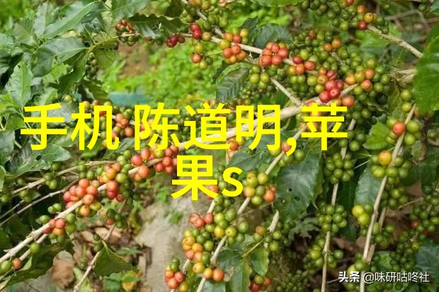 螺旋分离器高效的固液两相分离技术