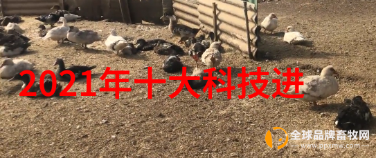 医院日常运营中超純水設備管理優化策略分享