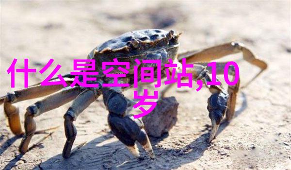 智能革命人工智能如何重塑我们的生活