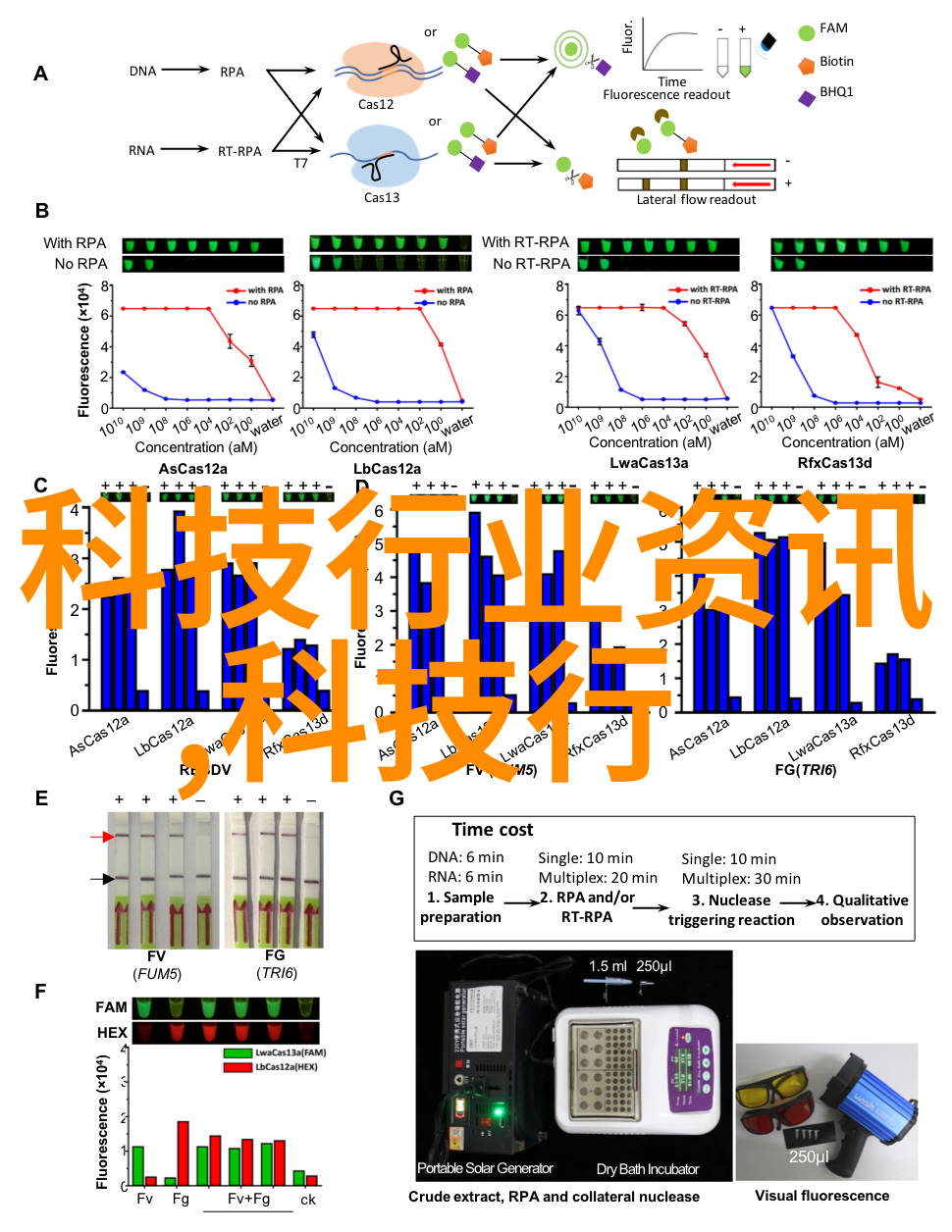 不锈钢丝网填料网-耐腐蚀的工业筛选解决方案
