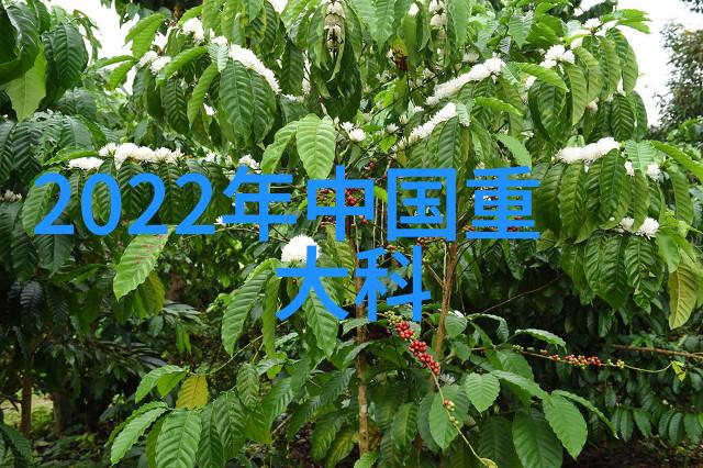 aspen波纹丝网填料提升过滤效率的创新材料解决方案