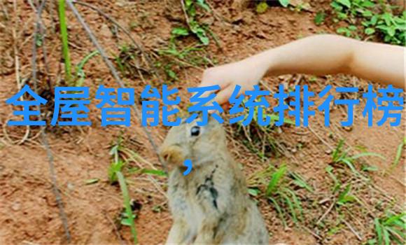 工艺流程中膜分离的应用与发展