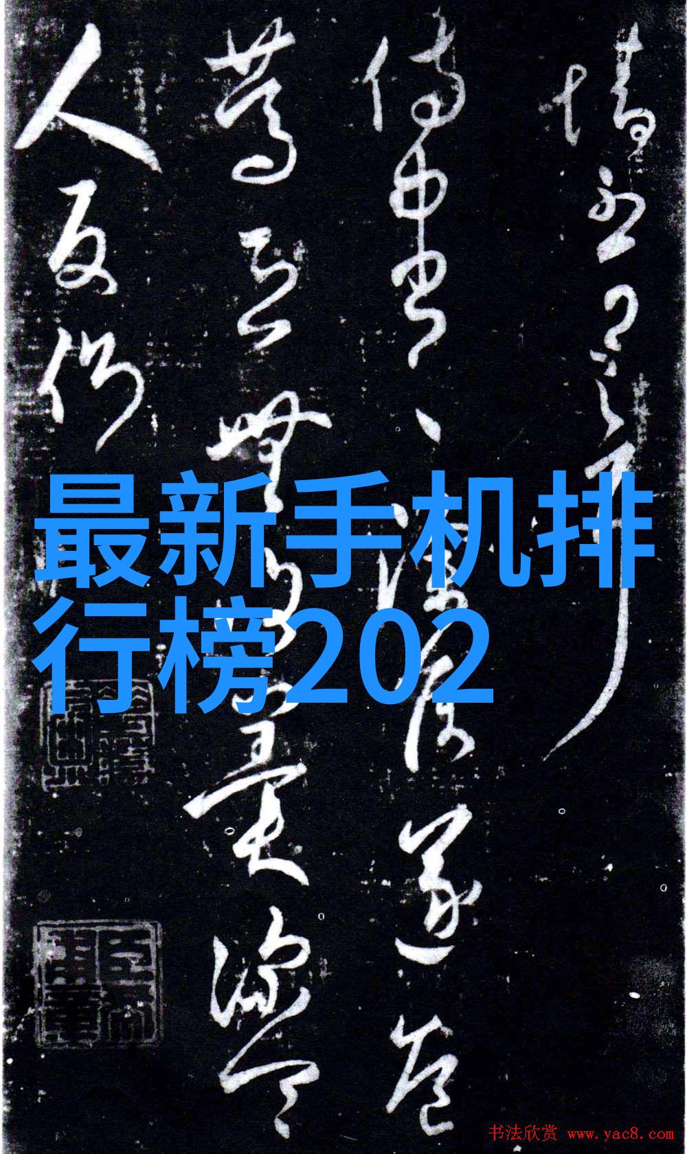 化工原料期货走势行情市场预测与风险评估的迷雾中寻找方向