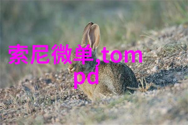 水力发電設備選型與配置在投標過程中的應用