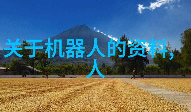 如何正确分块丝网填料以提高效率