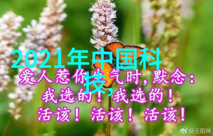 午夜伦理探索dy888神秘世界