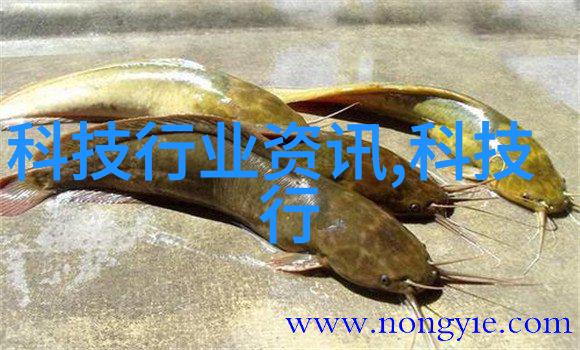 旋转蒸发仪高效干燥的科技之光