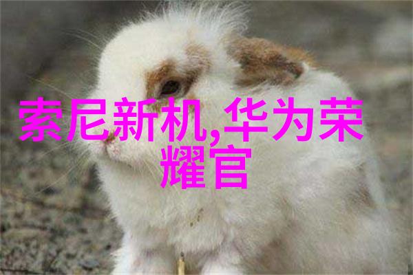 蒸气滅燒機的維護和清潔工作應該如何定期進行呢