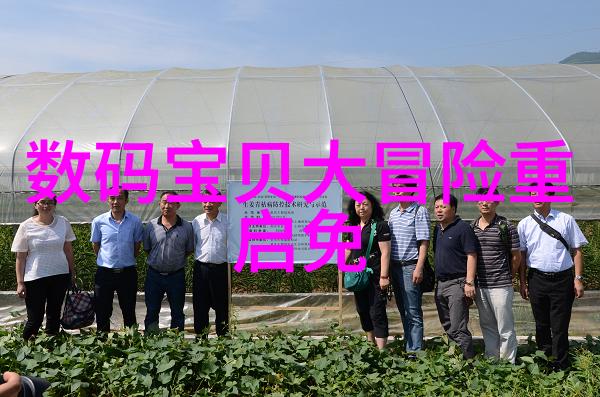 展开视野探索exposition在文学和艺术中的多重面向