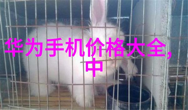 水源的守护者揭秘净水器之下的检测标准