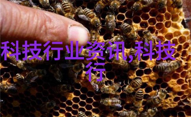 工业进步的引擎输送机械设备的奇迹之旅