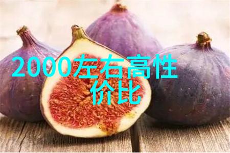 大型油烟净化设备我的家里也得装一个了
