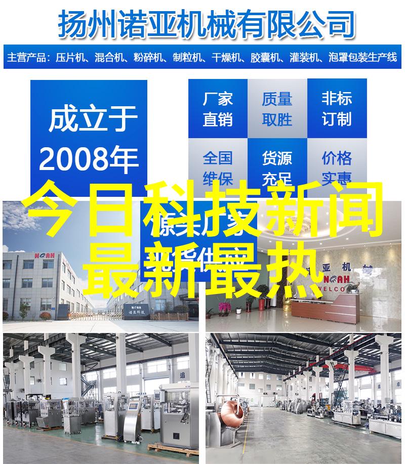 北南之心透视艺术家独特的世界观