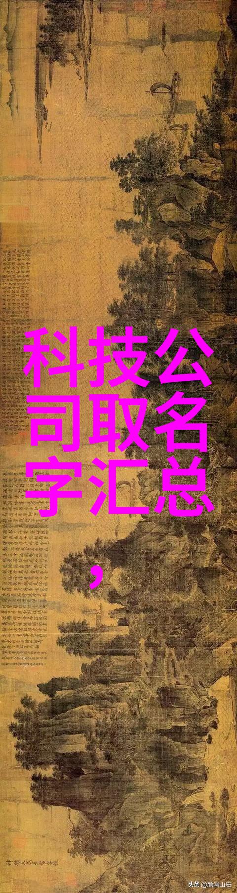 接待了一个30厘米长的客人我的小宠物金鱼要变身了