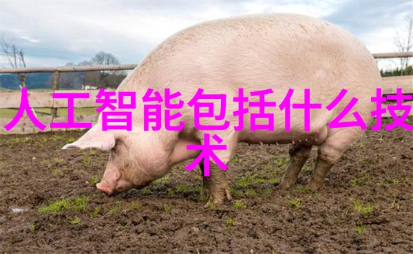 中南财经政法大学是985还是211-追踪时尚揭秘中南财经政法大学的教育荣誉