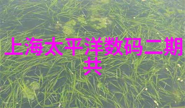 逆止器守护未来逆转时空的机制与奇迹