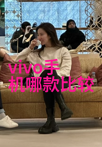 高效能源转换器1吨燃气蒸汽发生器的运作原理与应用前景