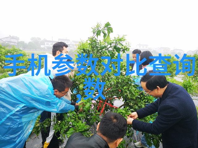 塑料技术-PE料型号大全 探索聚乙烯材料的广阔世界