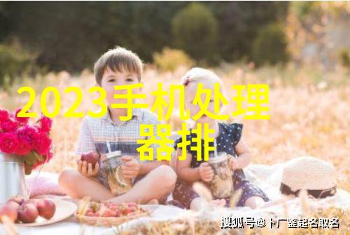 屠宰设备技术发展综述从传统到现代化的进步与挑战