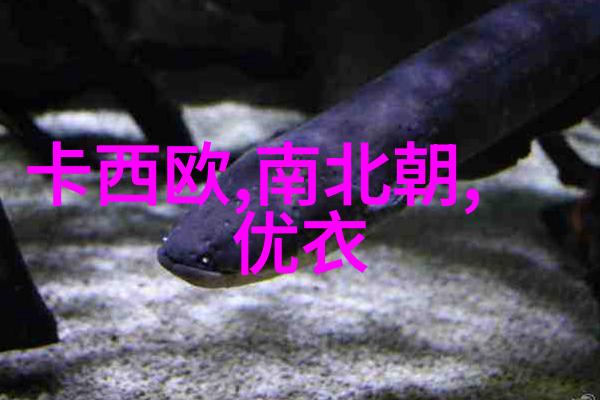 阿v电影我是如何在Av电影圈混到大大的