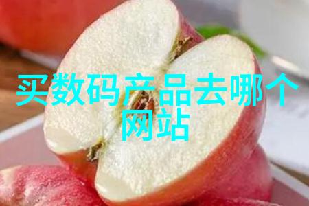 DN50鲍尔环在管道系统中的应用与优势探究