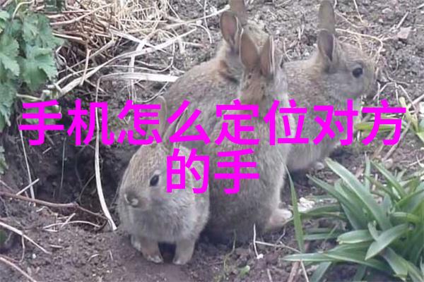 毛坯房装修的步骤及基本流程我来告诉你如何一步步把空荡荡的毛坯房变成温馨家园