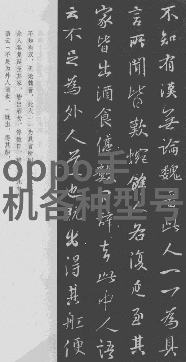 神秘的光环与纯真之心探索中世纪圣女的传奇故事