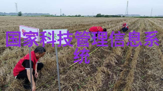 水电安装师傅接单平台我是水电大王你的家电小能手