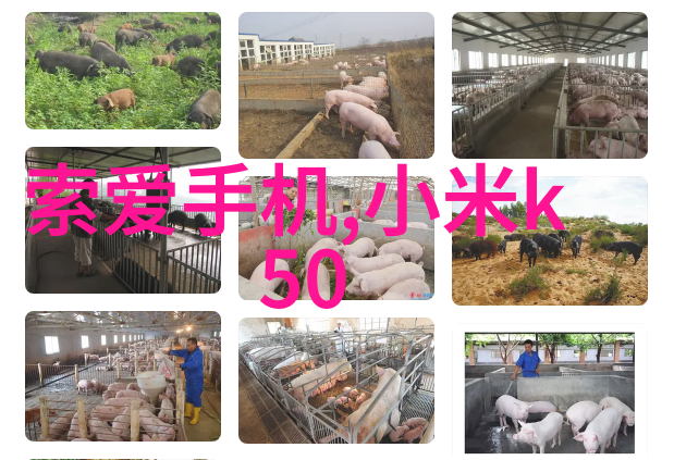 实验室设备管理高效的实验室之手