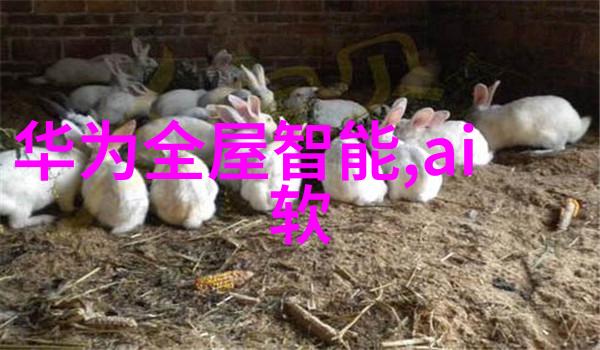 多功能流化床-智能控制下的高效运作多功能流化床技术的创新应用