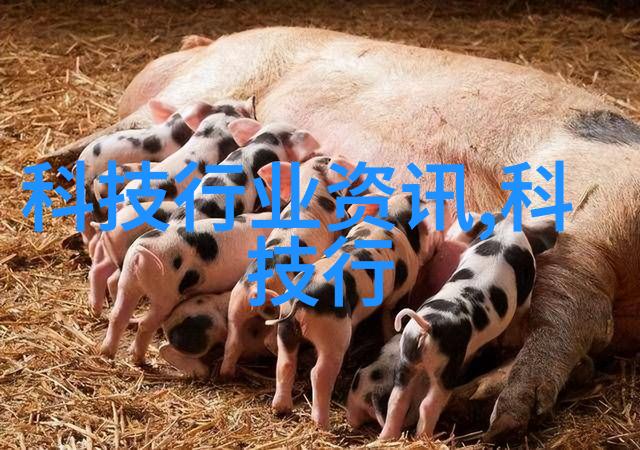 幼儿园室内外空间整合设计策略