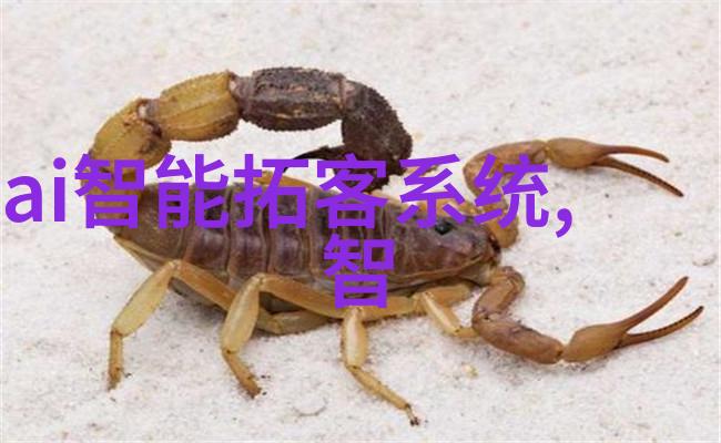 药品包装机械自动化与高效的完美结合