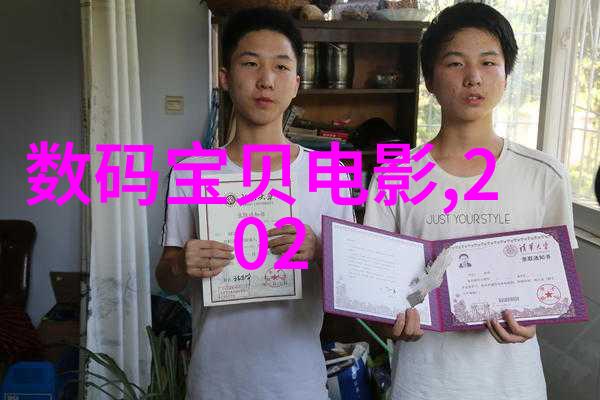 家居美学从简约到奢华新房装修的艺术探索